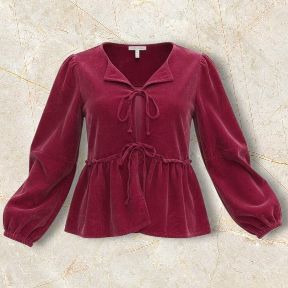 Free People Pink Velour  Peasant Blouse Size Large